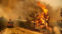 En el peor momento: los incendios en Jujuy avanzan y son casi 8.000 las hectáreas quemadas