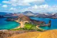  Tortugas de Galápagos ‘anfitrionas’ de encuentro de periodistas y escritores
