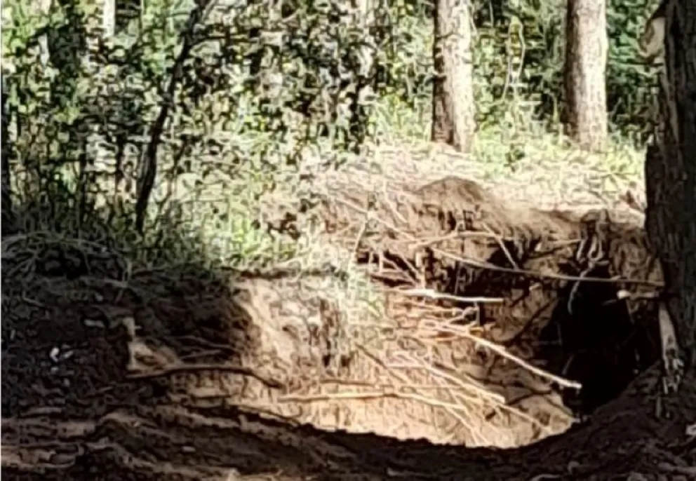Excavaron un bosque nativo para sacar tierra y provocaron un daño ambiental irreparable 