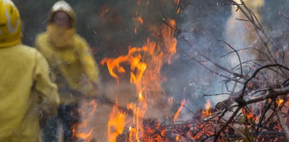 Bomberos y SPLIF lograron extinguir un incendio forestal en calle Vereertbrugghen 