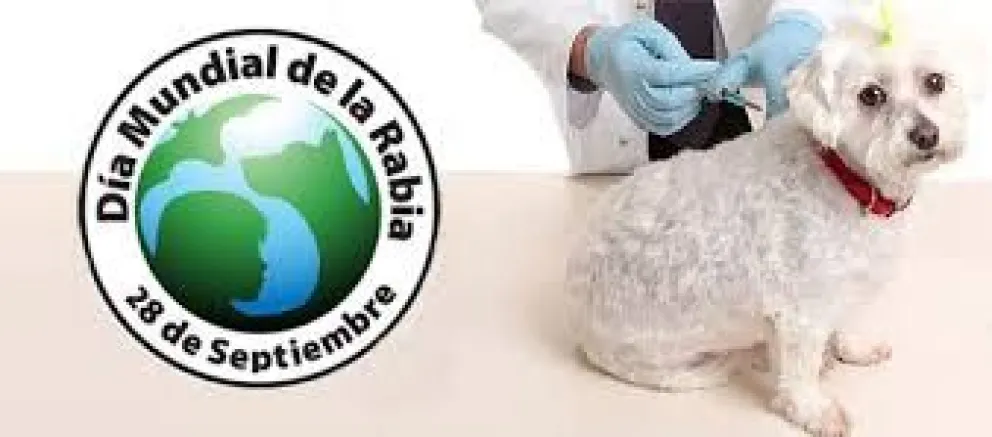 Día Mundial contra la Rabia