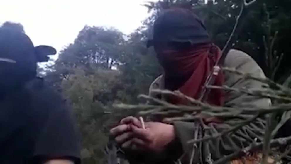 “Estamos recuperando territorio mapuche, donde vivieron nuestros antepasados, y recuperando nuestra vida mapuche”