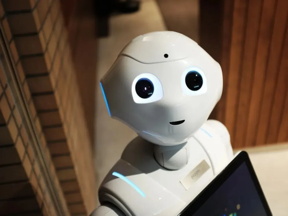 “Wignman”: conoce todos los detalles del increíble robot que prepara comida 