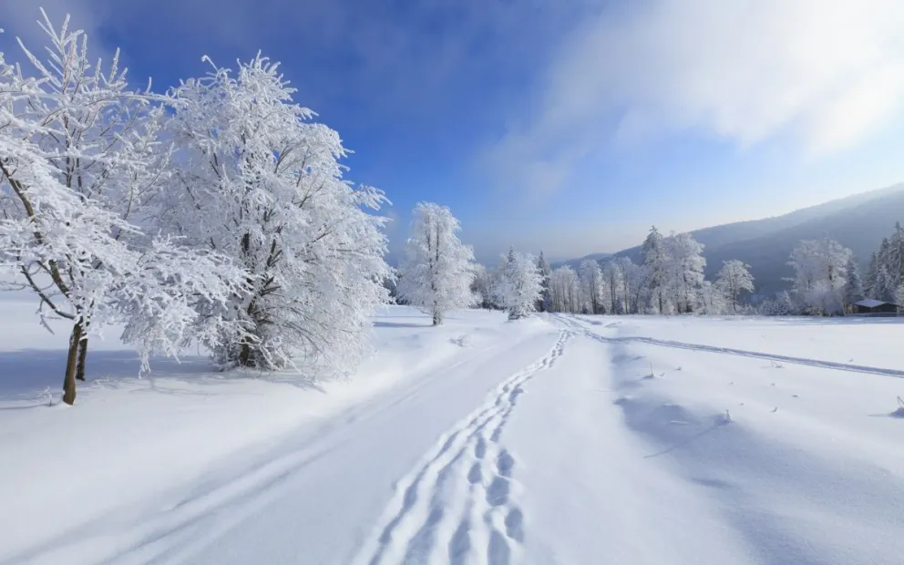 ¡Te vas a sorprender! Conocé el significado de soñar con nieve