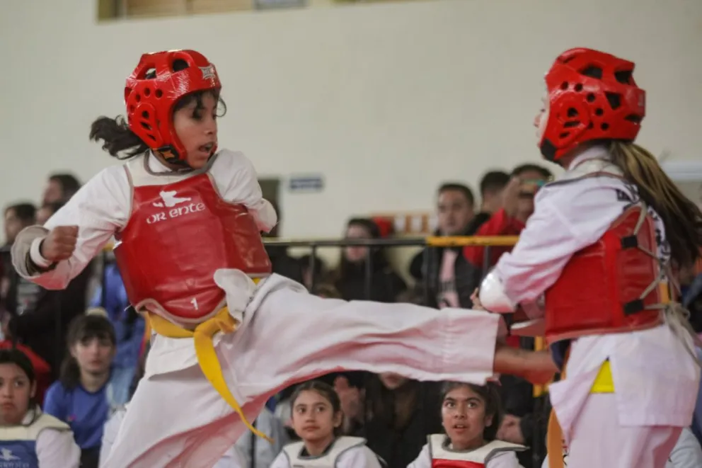 Fiesta total de las artes marciales