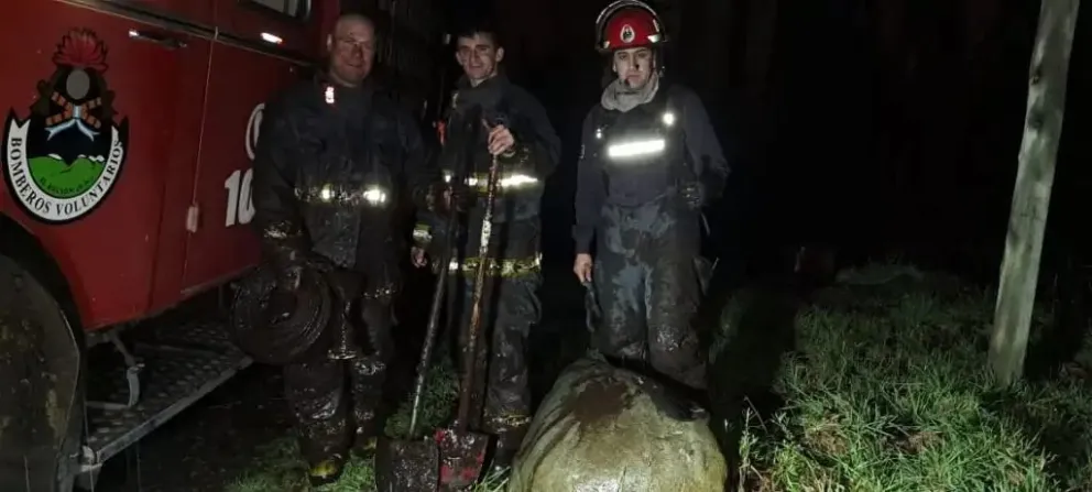 Bomberos Voluntarios de El Bolsón se capacitaron sobre rescate de animales