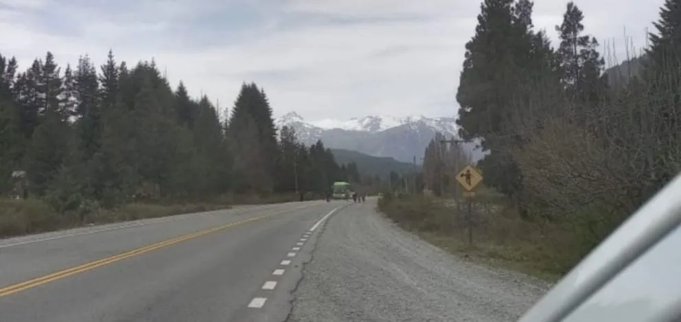 Miembros de una comunidad Mapuche cortaron la Ruta 40 y entregaron panfletos