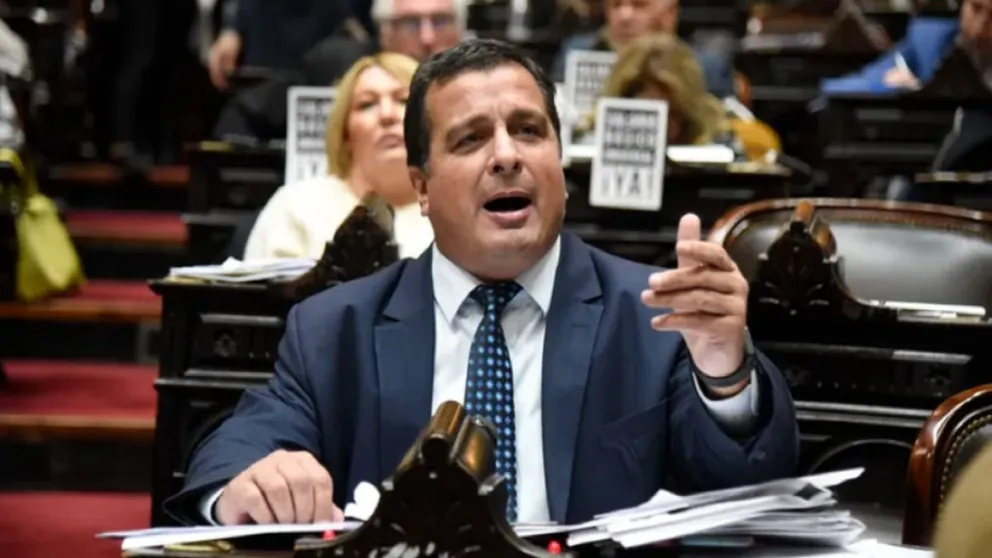 Fanatismo: un diputado presentó un proyecto para que Patronato no descienda a la B