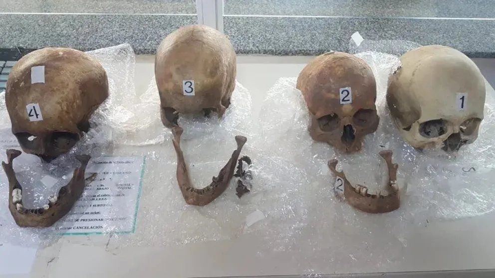 Macabro: encontraron cuatro cráneos humanos en la valija de una pasajera