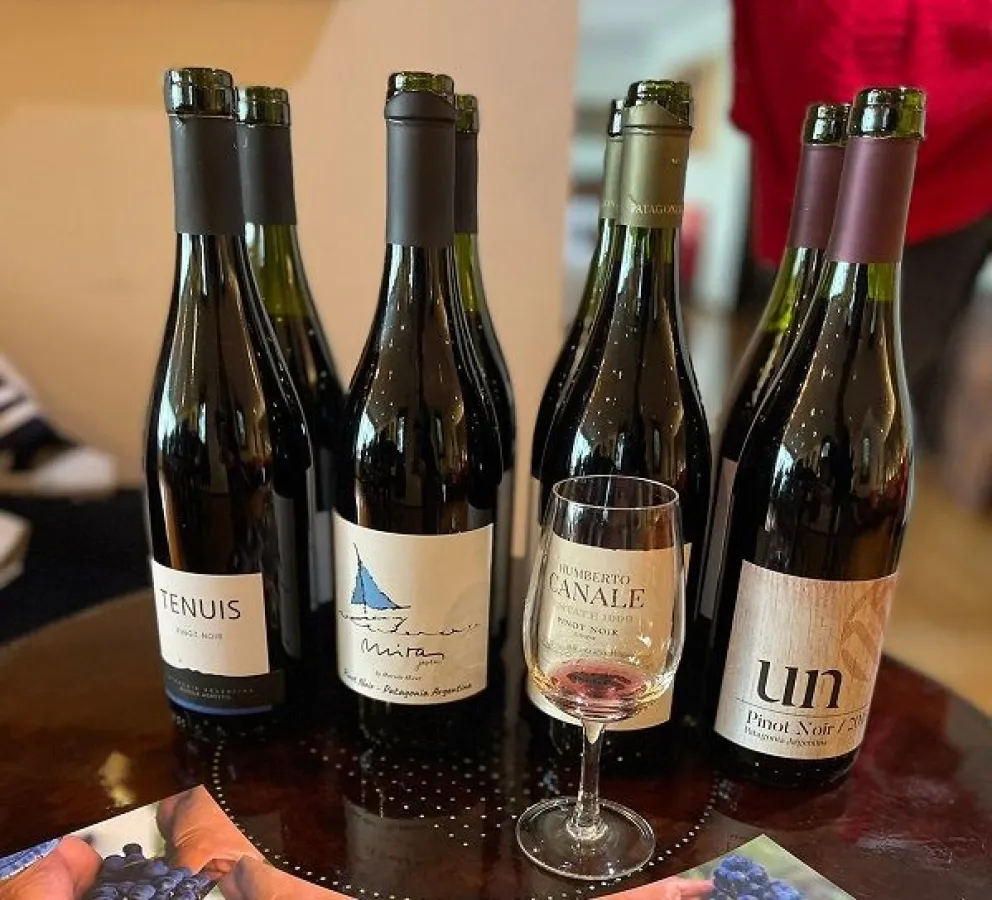 En busca de la excelencia: por qué los vinos rionegrinos son únicos