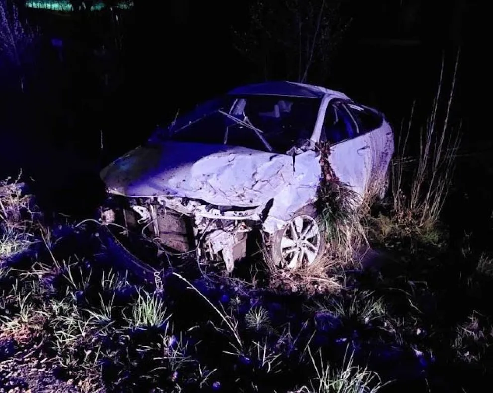 Circulaba por Ruta 40 y se le cruzó un animal que esquivó pero volcó 