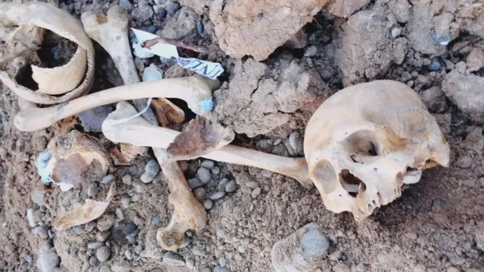 Horror: hacían un pozo para plantar en su jardín y encontraron dos cráneos enterrados