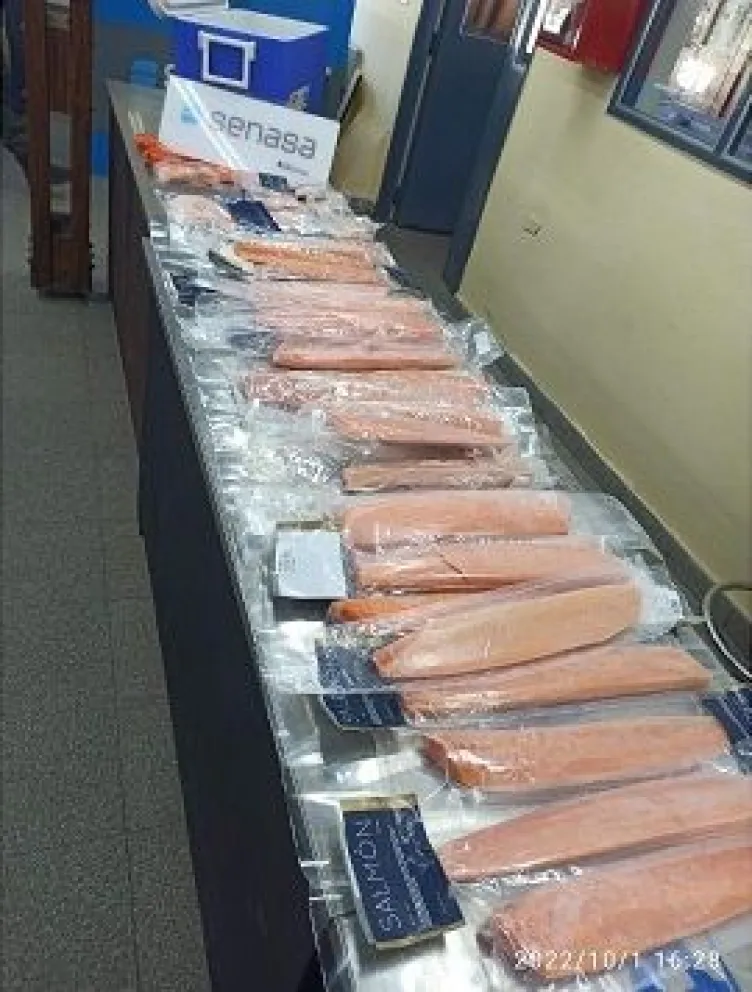 El SENASA decomisó 22 kg de salmón que intentaban ingresar sin las condiciones sanitarias