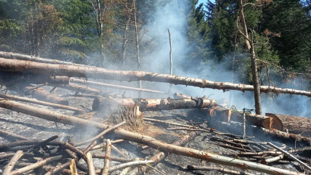 Se desató un nuevo incendio forestal en la zona de Villa Mascardi