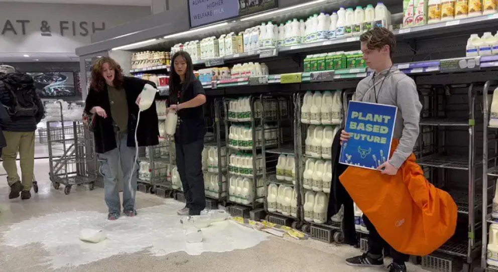 VIDEO: activistas veganos protestaron derramando litros de leche en supermercados
