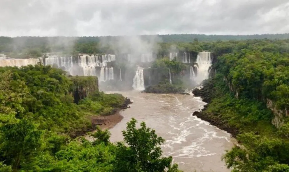 Apareció una zapatilla del hombre que se cayó en las Cataratas del Iguazú: qué se sabe hasta ahora