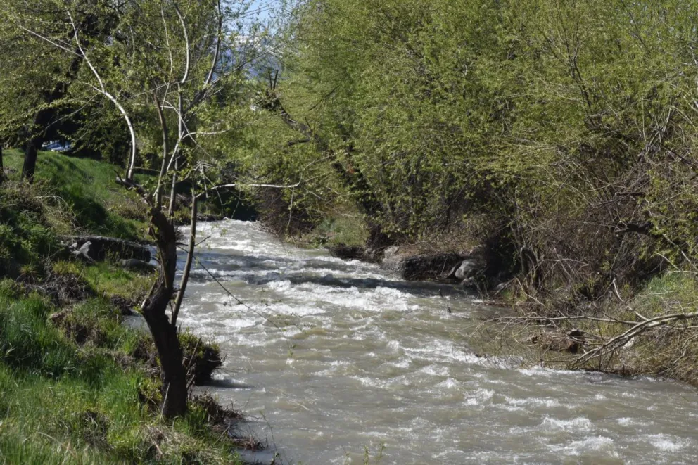 Aguas Rionegrinas asegura que baja la turbiedad del río y normaliza el servicio de agua potable