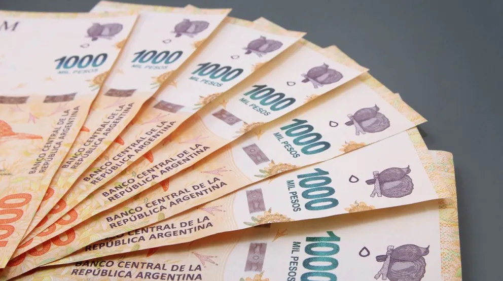 Bono de fin de año: ayuda económica para 3 sectores de trabajadores y beneficiarios de ANSES