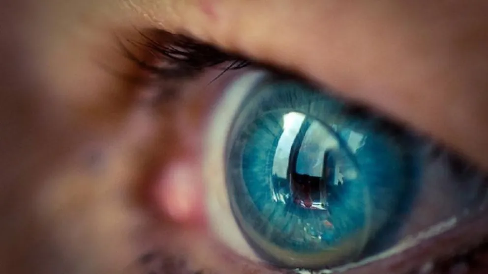 Increíble: fue al oculista porque no veía bien y le extrajeron 23 lentes de contacto