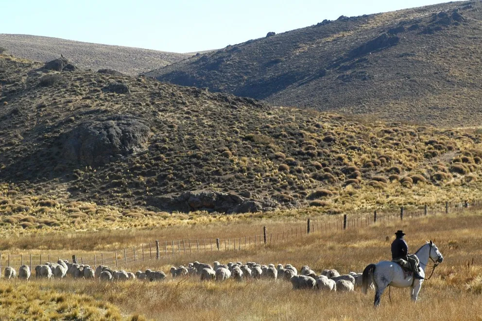 El Turismo Rural, una actividad que sigue creciendo en la Estepa