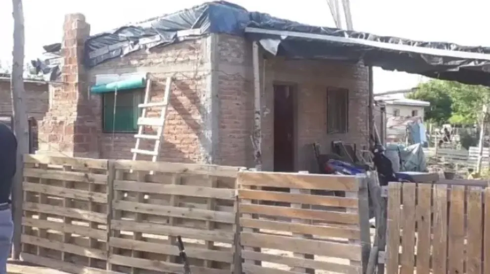 Trágico: una nena fue atacada por su pitbull y tuvieron que sacrificarlo para salvarla