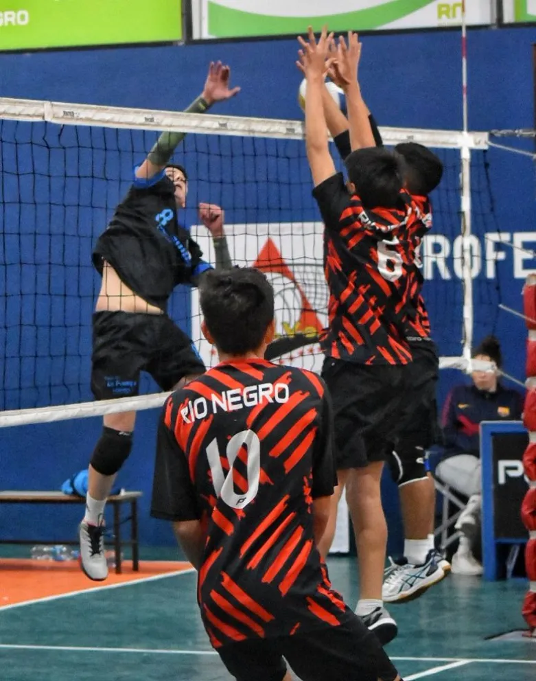 Río Negro protagonizó el torneo de vóley patagónico de menores
