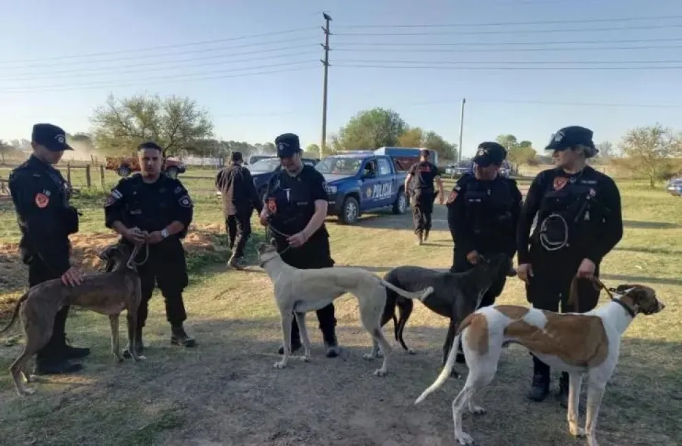 Terrible: rescataron a galgos de carreras ilegales y la Justicia decidió que vuelvan con sus dueños