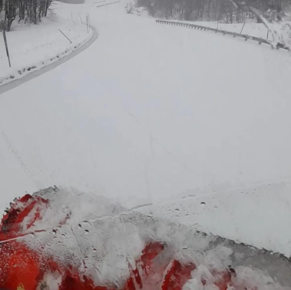 Paso Samoré habilitado, aunque con nevadas y fuertes vientos  