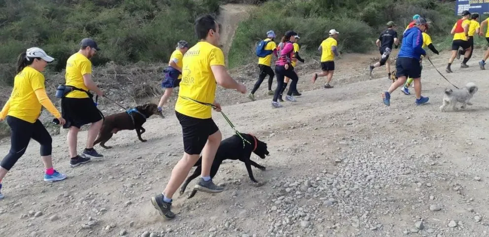 Todo listo para una nueva Trepada al Cerro Otto