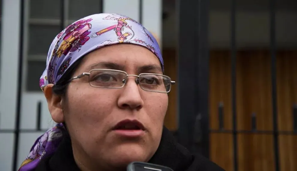 Reclamos de la comunidad mapuche: conciencia y solidaridad de la sociedad