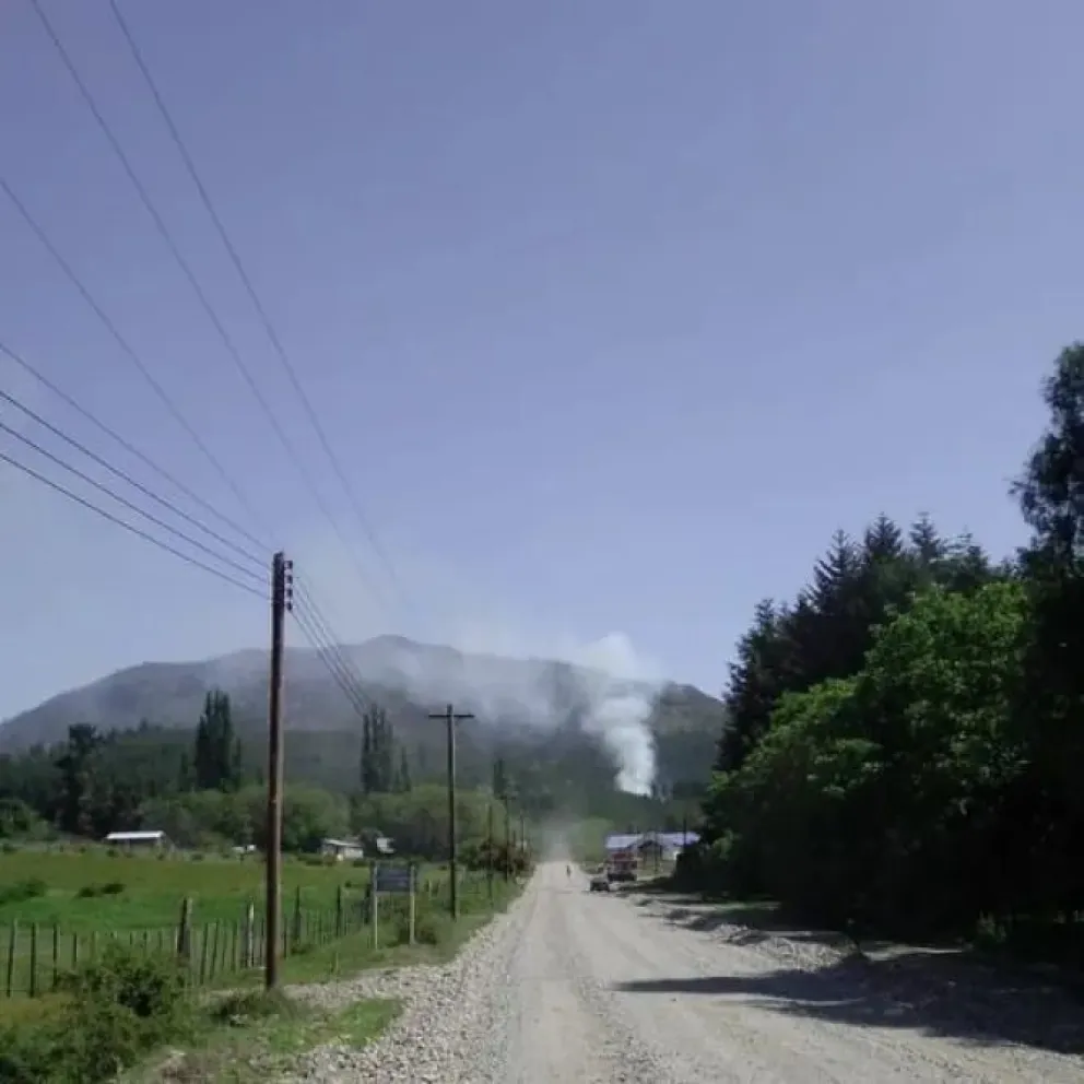 Controlaron un incendio forestal en Puerto Patriada