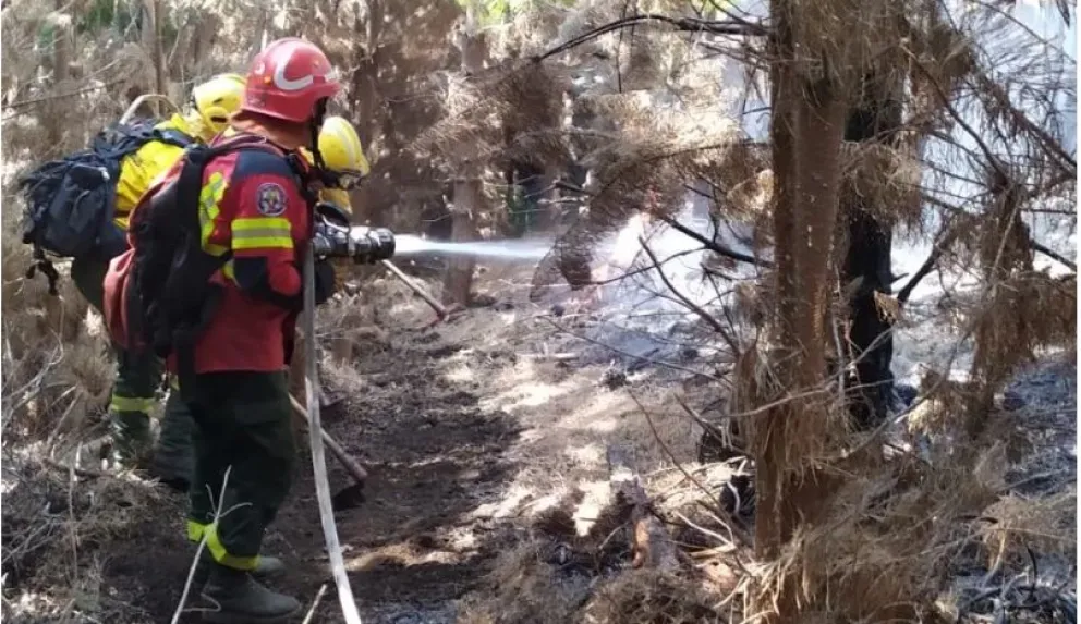 Encontraron combustible y una cubierta quemada en el incendio forestal en Puerto Patriada