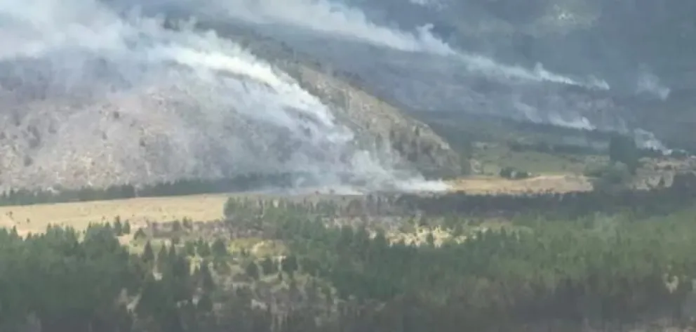 Nuevo incendio forestal en la zona de Cuesta del Ternero