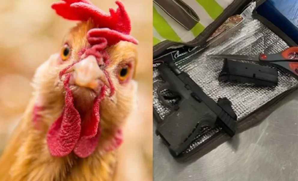 Insólito: quería subir al avión con un arma escondida dentro de un pollo