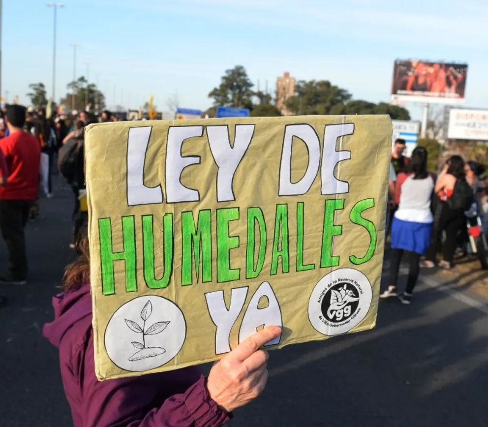 Vuelve a Diputados el proyecto de Ley de Humedales: por qué es importante su aprobación