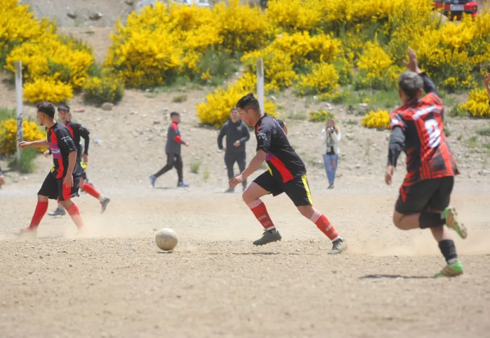 La pelota rueda en el barrio Vivero