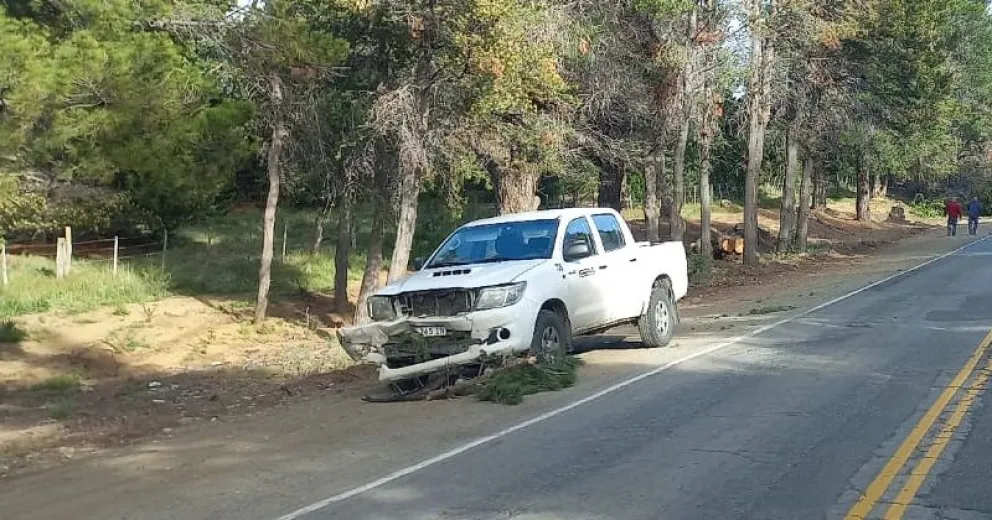 El viento tiró un árbol sobre una camioneta y los ocupantes se salvaron de milagro  