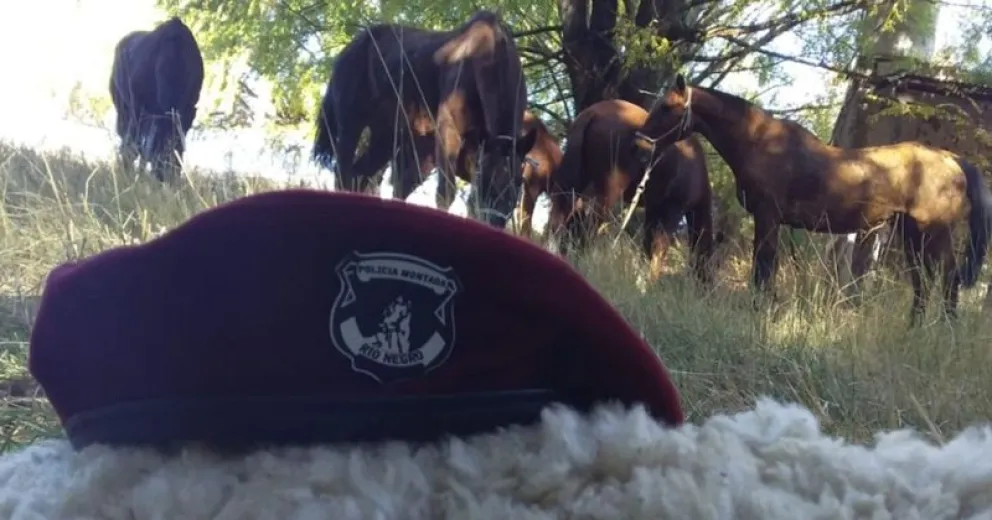 Denunciaron a un policía que quiso quedarse con una camioneta donada  