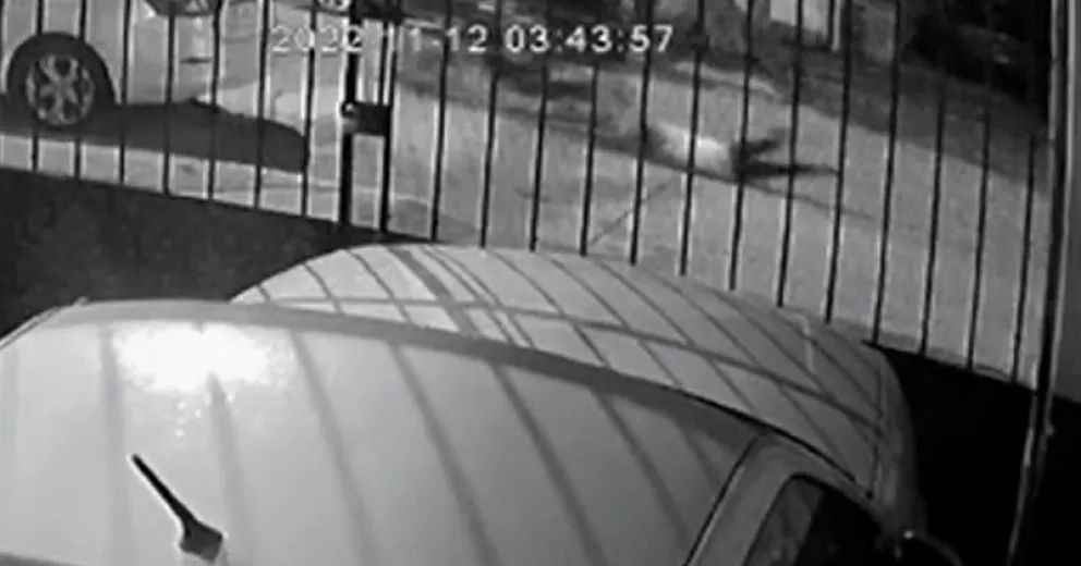 Motochorros en Bariloche arrastraron a una chica para robarle y quisieron apuñalarla