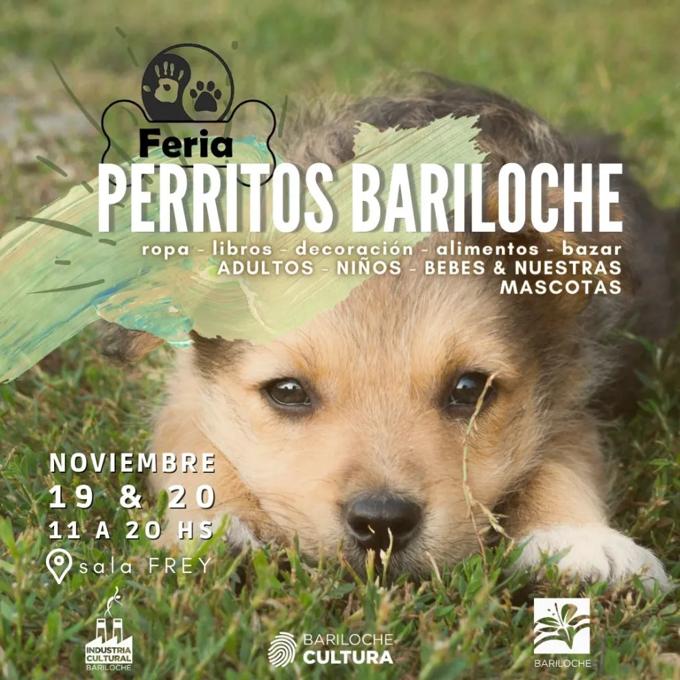Para recaudar fondos realizan la tercera “Feria Perritos Bariloche”