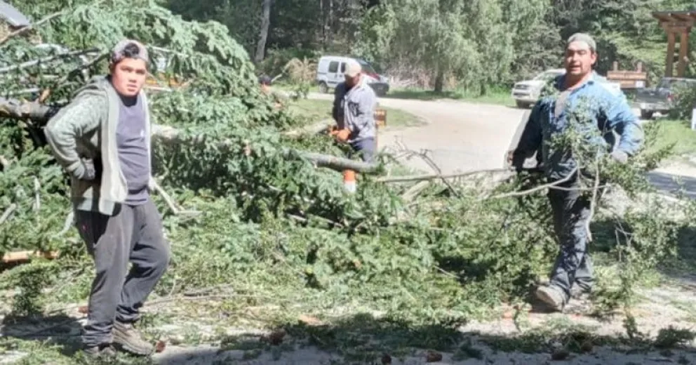 Piden precaución a visitantes por apeo de árboles en Tronador y cascada Los Alerces