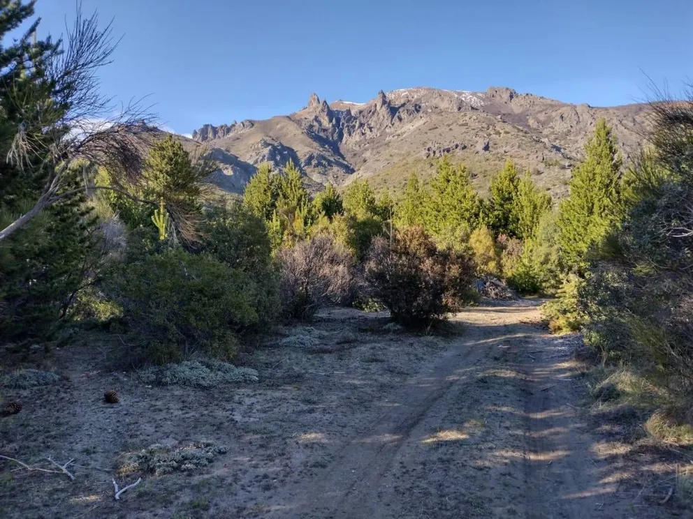 Instituto de la Vivienda y su versión de “Las Morenas”