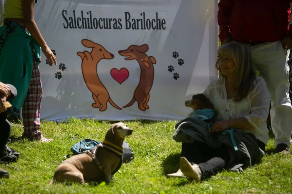 Juntaron más de 60 mil pesos para donar a las veterinarias de la ciudad