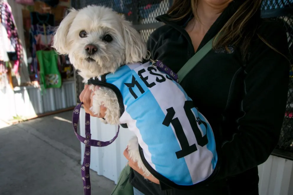 El boom de las camisetas de Argentina