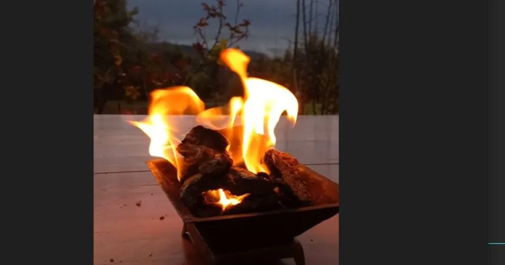 Invitan a dos charlas de introducción a la Terapia Homa