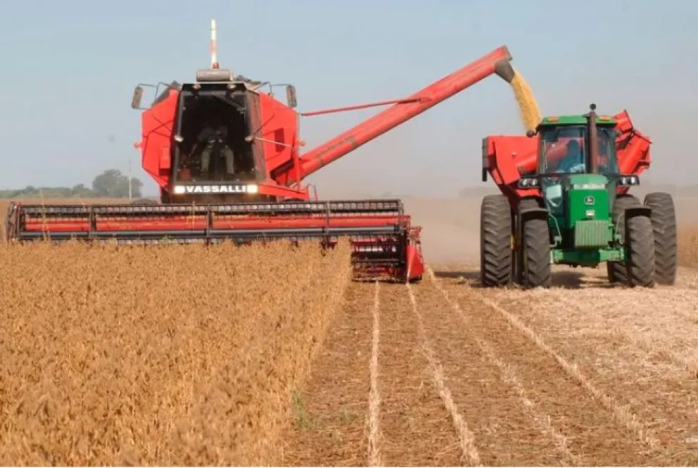 Dólar soja 2: cómo será el nuevo tipo de cambio que regirá hasta fin de año