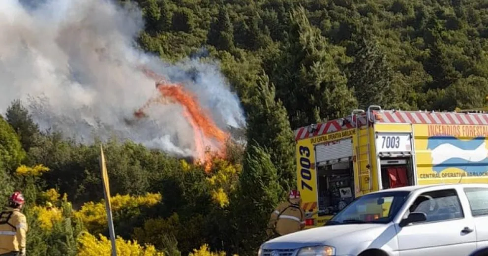 Desde el SPLIF señalan que los incendios intencionales se repiten en los mismos sitios