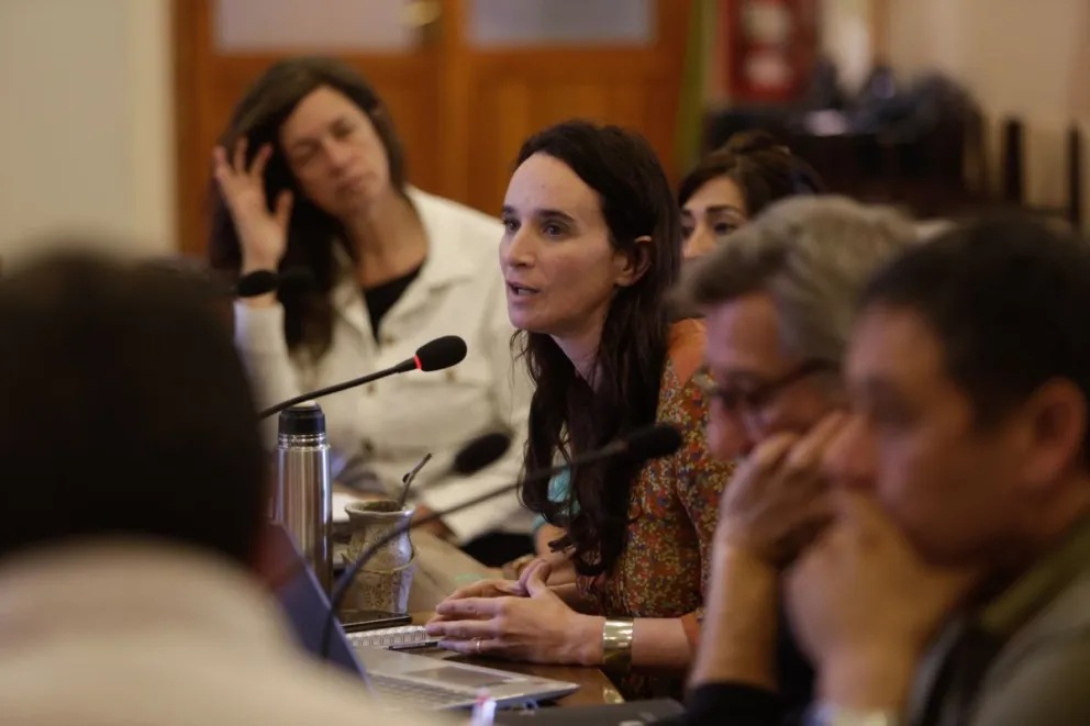 Wallace: "A Gennuso no le importa el Vertedero y sigue de paseo por París”