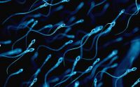Mayor cuidado: el “DIU” para hombres, el nuevo anticonceptivo que se viene