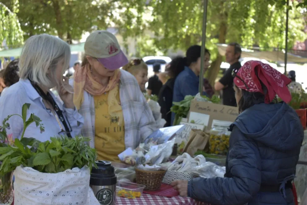 Comenzó una nueva temporada de la Feria de Agricultores del Nahuel Huapi en la plaza Belgrano